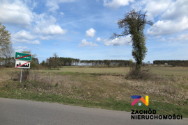 Działki budowlane 10 km od Torzymia